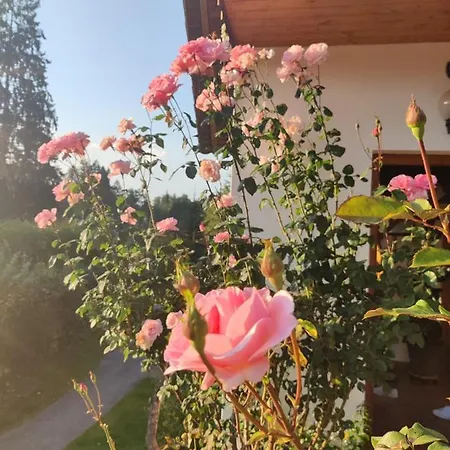 Pensionat Treissmann Pichling bei Stainz