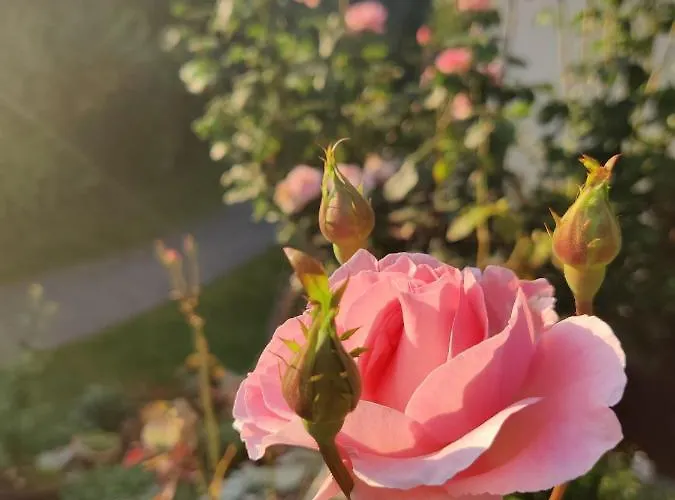 Treissmann 4* Pichling bei Stainz