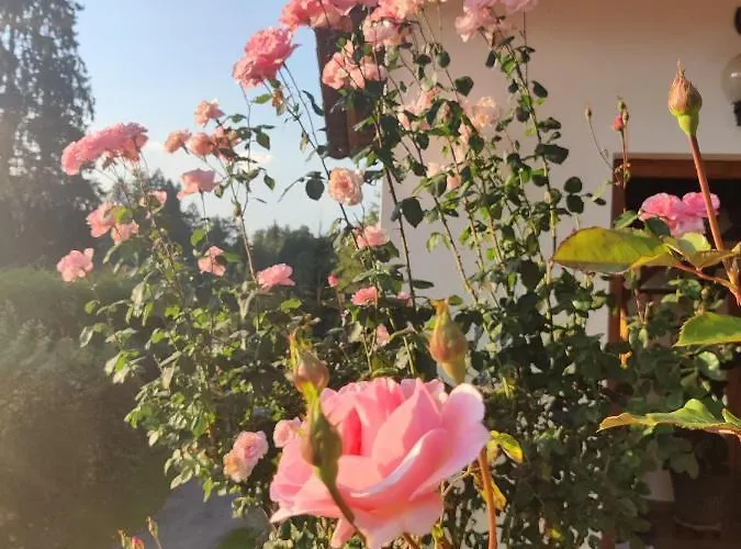 Gasthof Treissmann Pichling bei Stainz